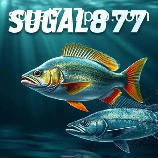 Gaming Experience SUGAL777 - 800+ Premium and Exclusive Games